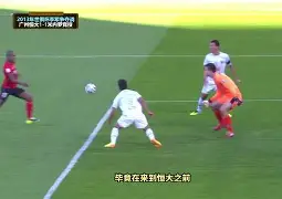 贵州队历任主教练