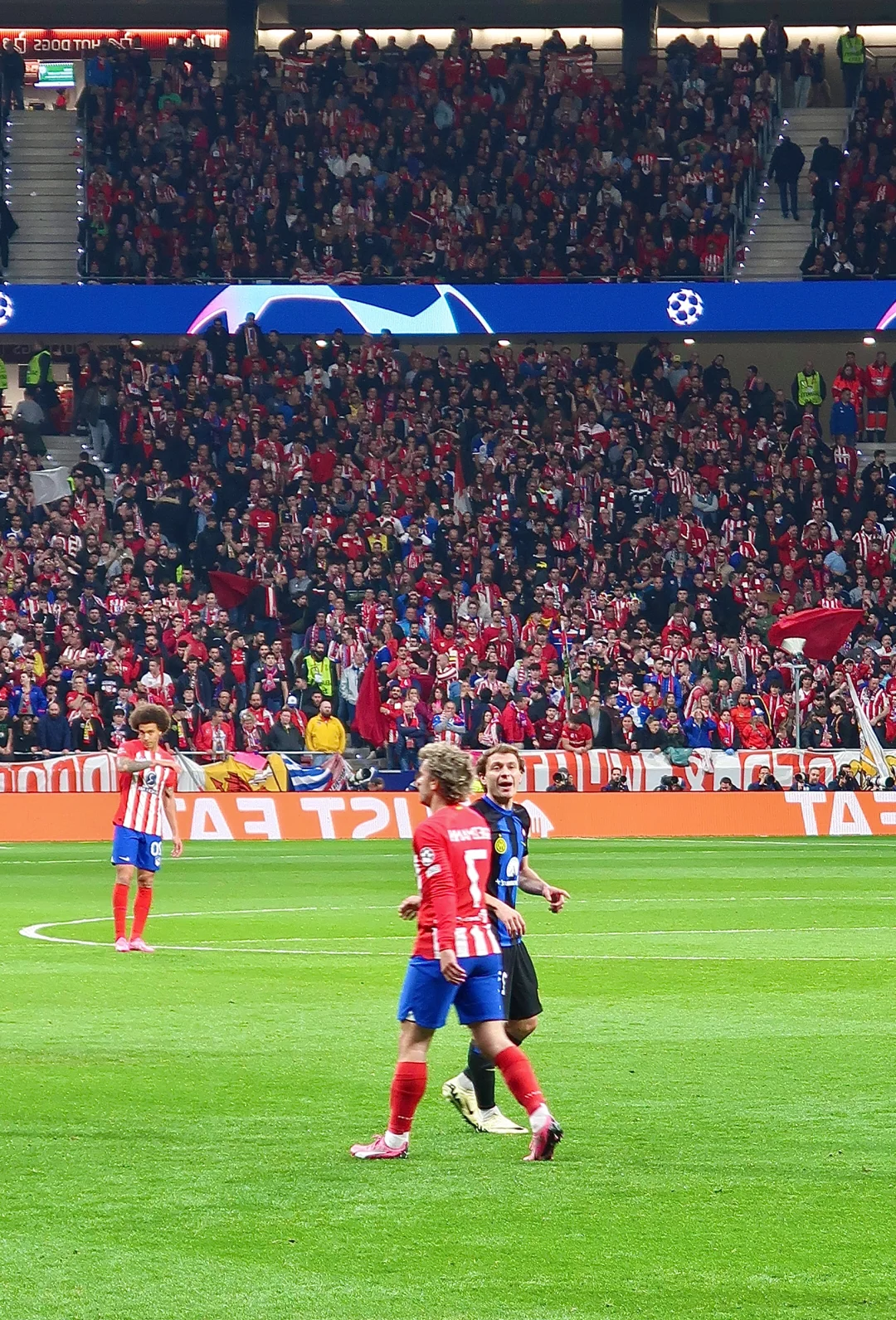 IM电竞官方网站最新下载-利物浦欧冠出局